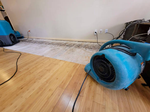 Professional Structural Drying technician working in Baldwin, LA